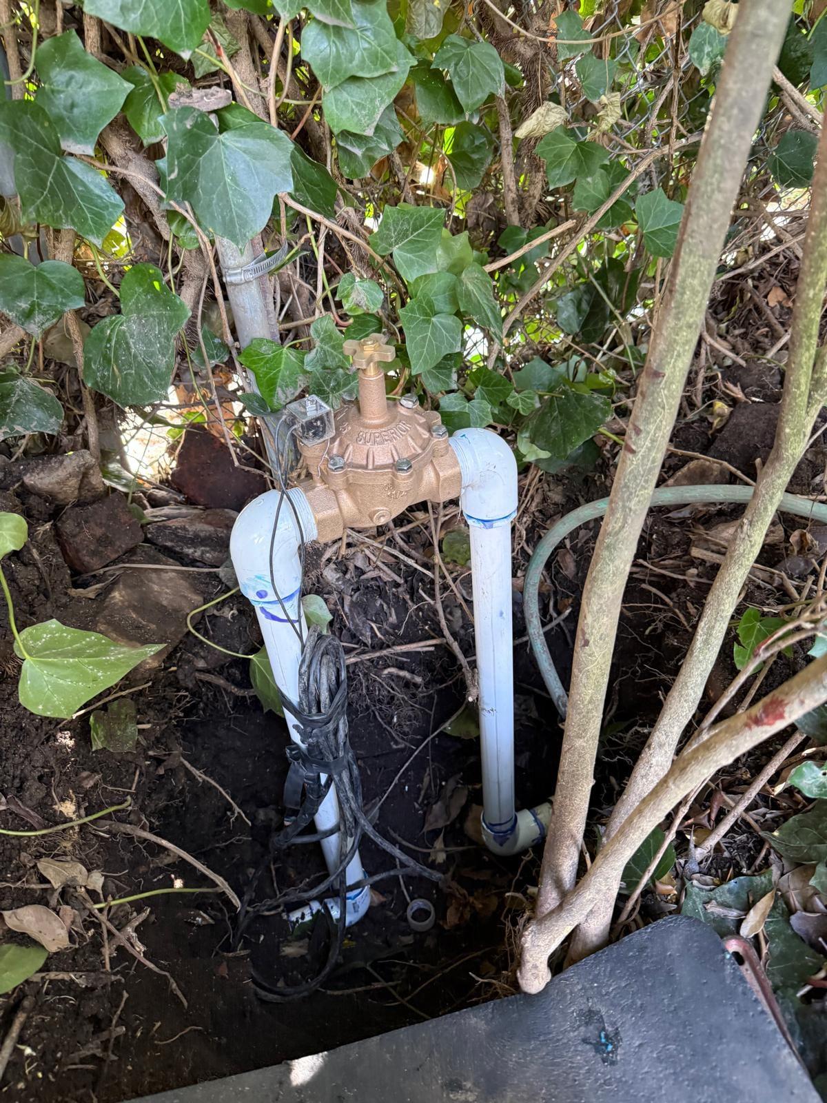 Exposed brass irrigation valve and wiring under a hedge