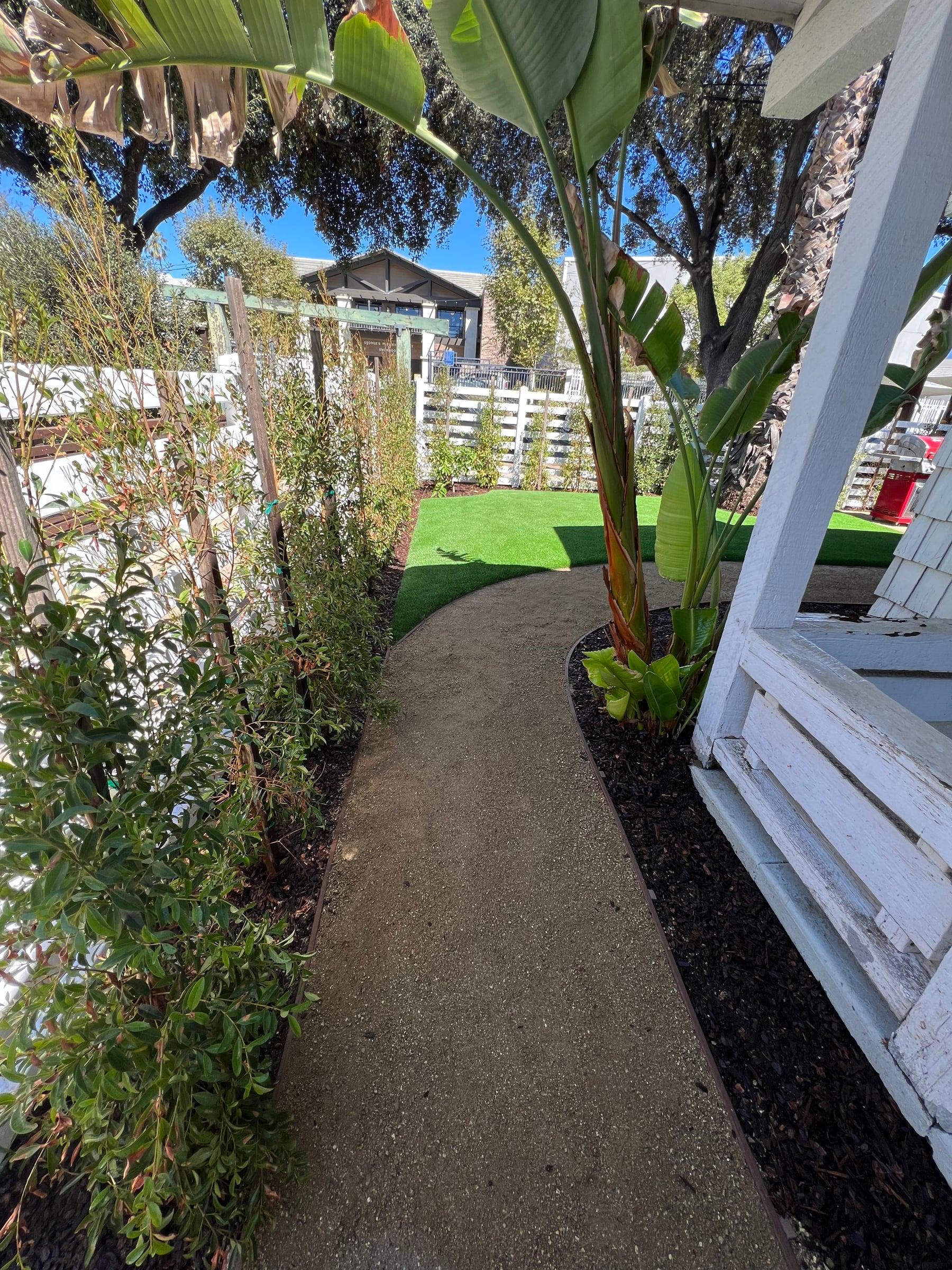 Backyard with new artificial turf and a curved concrete walkway