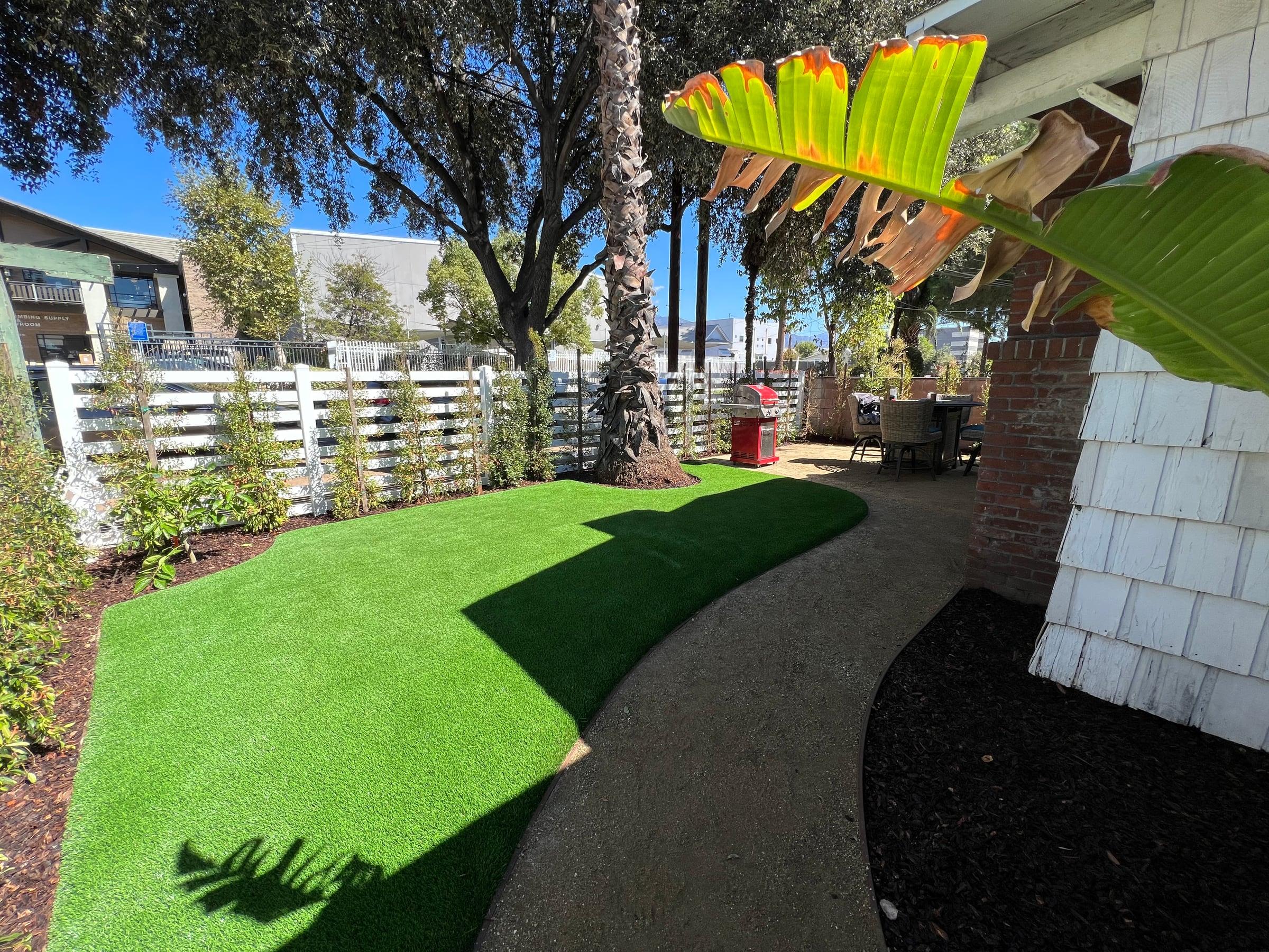 Backyard patio with new turf lawn and birds of paradise plants