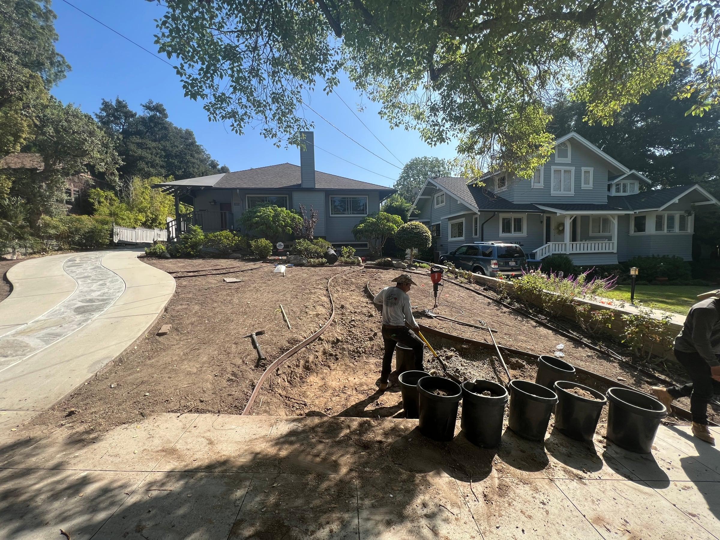 Front yard planting installation with new irrigation drip lines