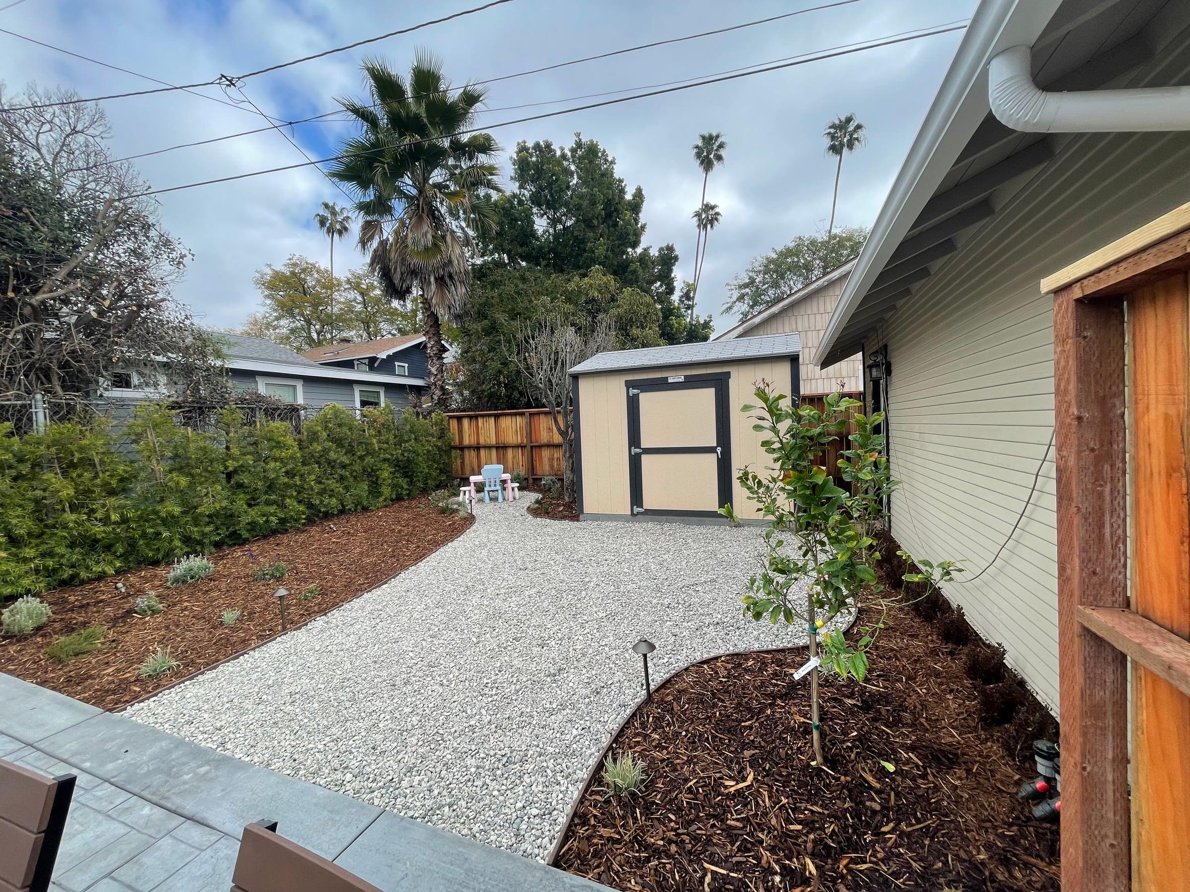 Backyard gravel path and mulch beds near a young citrus tree