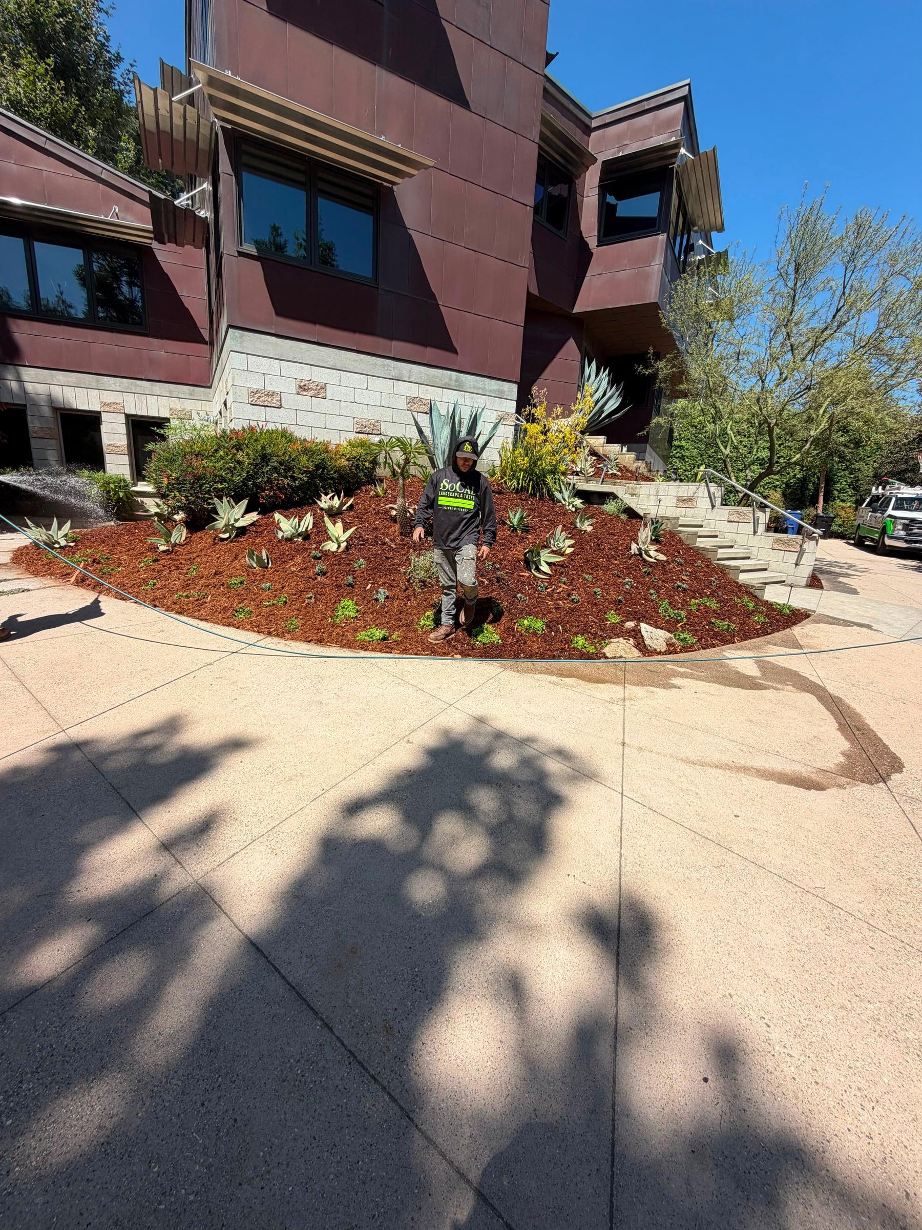 Completed hillside mulch bed with agave beside a driveway