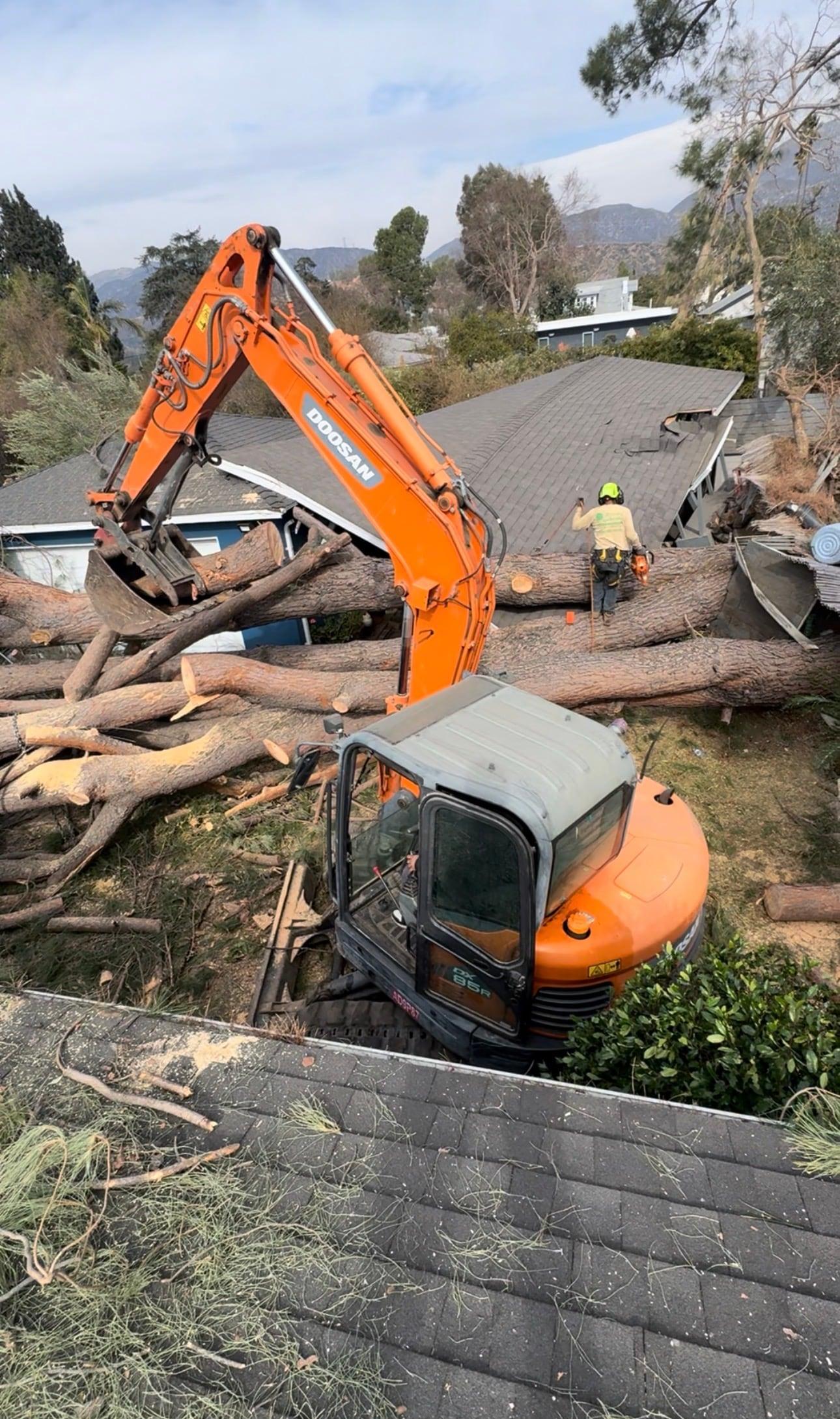 Excavator cutting up a large fallen tree that collapsed a roof